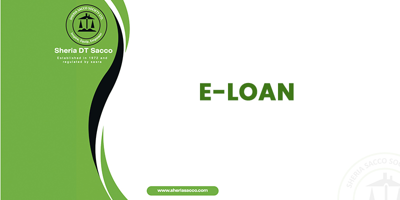 e-loan-bg-02